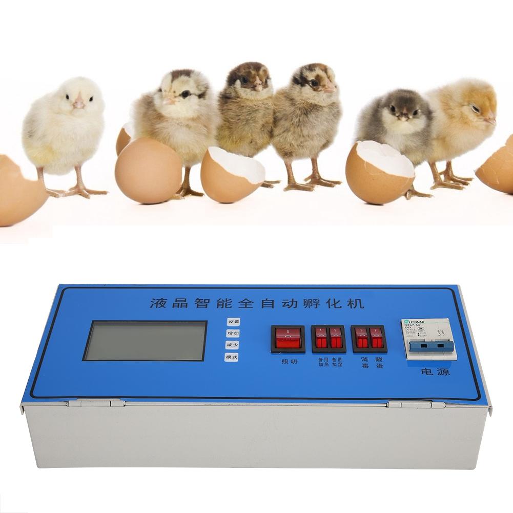 Intelligent LCD Automatic Digital Incubator Chicken Egg Hatcher Temperature Humidity Controller220V