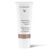 Dr. Hauschka Regenerating Balance Day Cream 40ml