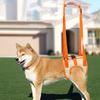 Elderly Dog Exercise Belt Assisting Disabled Dog Rehabilitation Belt To Help Dogs Go Upstairs Tool