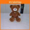 Plush Bear Teddy Toy Play Animal Doll Creative Cute Bear Doll Gift Birthday