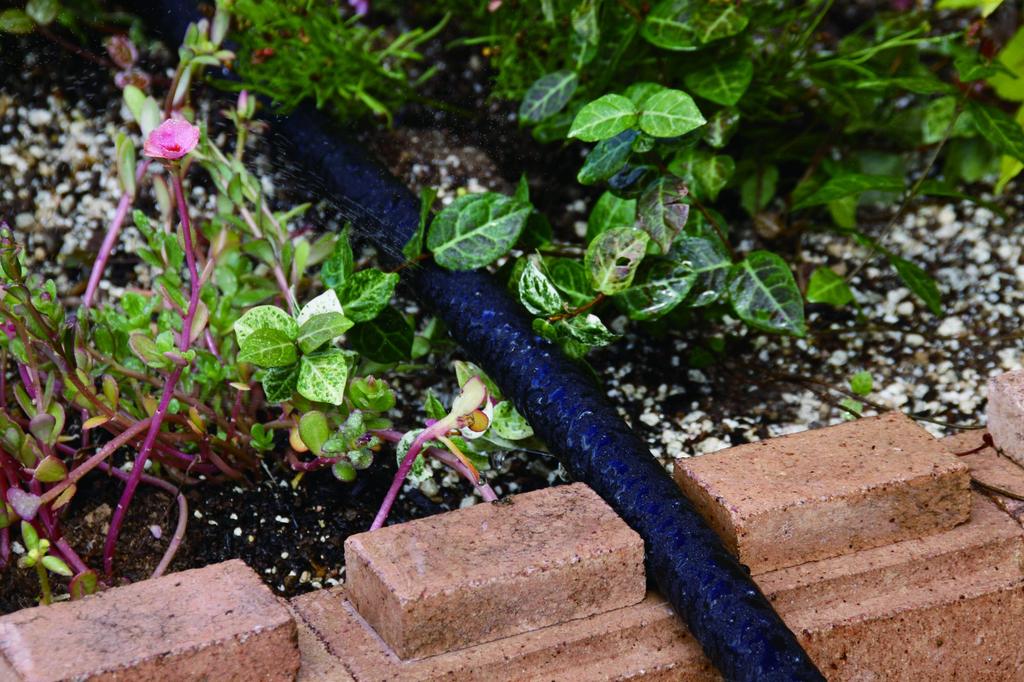 Takagi Garden Hose 5m 5m for Irrigation Black G450BK05