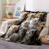 3D Persian Cat,Cute Calico Cat,Ragdoll Cartoon Soft Blankets,Keep Warm Throw Blanket for Picnic Beds Sofa Home Bedroom Gift Kid