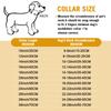 Stainless Steel Large Collar Chain for Dogs, Dog Metal P Chain Links, For Medium, Small dog, Gold Cuban Links Walking Training