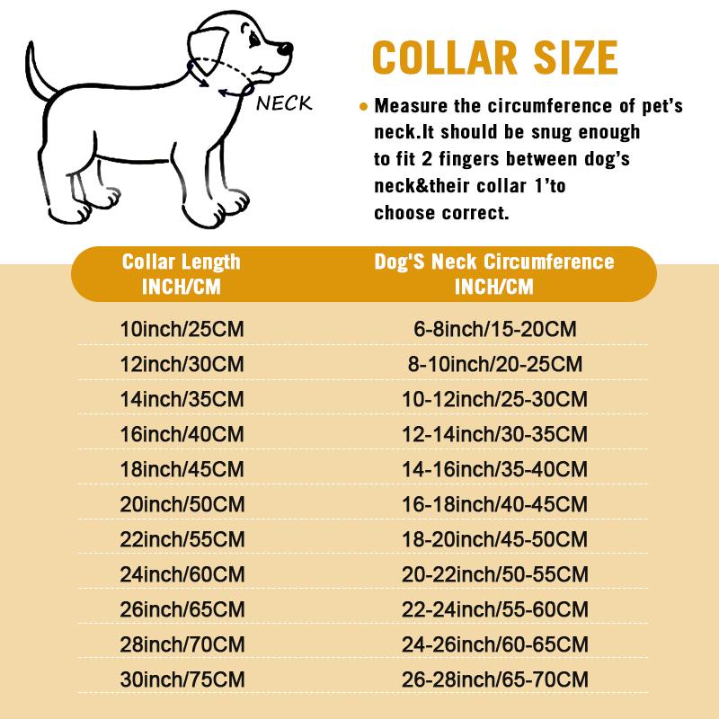 Stainless Steel Large Collar Chain for Dogs, Dog Metal P Chain Links, For Medium, Small dog, Gold Cuban Links Walking Training