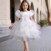 Girls Cake Dress Bow Bubble Sleeve Princess Dress Walking Show Halloween Flower Girl Banquet Dresses Dresses