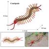 Oenux Simulation Dragonfly Grasshopper Centipede Wild Insect Animals Model Action Figures Miniature Education Collection Kid Toy