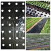 Weeding Keep Warm Vegetable Perforated Film Garden Supplies Mulch Film Agriculture Supplies