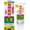 Fresh Leaf (Shoyo) Trial Size Medicinal Toothpaste To Prevent Periodontal Disease, Japanese and Chinese Herbal Flavor, 40g