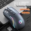 RGB Lighting Wired Gaming Mouse with Macro Programming for Desktop and Laptop
