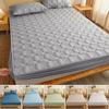 Thickened Fitted Sheet Quilted Mattress Cover Stain Prevention Flower Bed Cover Bedspreads for Single Double King Queen Size Bed