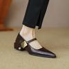 2025 Spring High-end Pointed Mary Jane Metal One-word Buckle Retro Light Mouth Thick Heel Single Shoes Women
