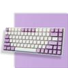 XVX Keycap 165 Key Pudding Keycap PBT Transparent Keycap Cherry MX Gateron Switch Keyboard OEM Profile Keycap (Purple/White)