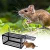 Rat Cage Pout Rat Implement Mouse Catcher Self-locking Mousetrap Mice Trap Cage Rodents Trap