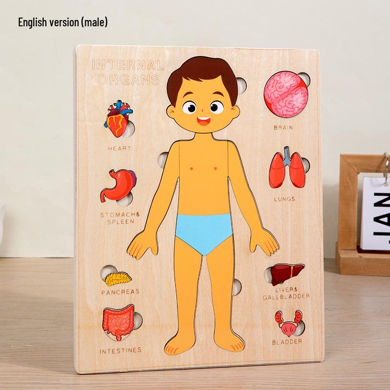 Wooden Human Anatomy Puzzle: Toddler Educational Toy for Self-Awareness and Science Learning