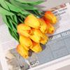 2 Bunch of PU Simulation Tulips