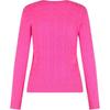 Polo Ralph Lauren Logo Embroidered Crew Neck Long Sleeve Knit Sweater Women Sweater Pink 211971865-008