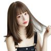 Sofeiyan Wig Medium Brown Straight Natural Wig Women Layered Ladies Full Wig Small Face Heat Resistant Open Net Included Semi-Long (Ash Brown)