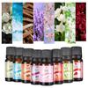 10ml Fragrance Oil Soothing Natural Refreshing Deodorizing Relieve Stress Room Diffuser Scented Candle Making Essential Oil