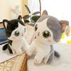Cute Duoduo Cat Plush Toy Doll Doll Doll Children Comfort Pillow Girls Office Cat Ornaments