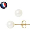 Earrings - - Genuine Freshwater Pearls 6-7 Mm - 9 Carat Yellow Gold - 2 Year Warranty
