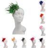Party Women Mesh Fascinator Hat Headband Hair Accessories Feather