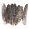 80 Natural Pheasant Feather Decorative Diy Jewelry Hair Accessories Material Cat Stick Toy Accessories