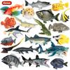 Oenux Sea Life Animals Model Action Figures Ocean Fish Sailfish Bass Grouper Salmon Aquarium Figurines PVC Educational Kids Toy