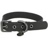 Collier Pour Chien - TRIXIE - CityStyle - Taille S/M - Tour De Cou 30–37 Cm - Noir