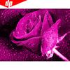 Diamond Painting 5D DIY Full Round Flower Rhinestone Mosaic Rose Diamond Embroidery