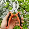 Professional Garden Scissors for Branch Trimming Fruit Tree Pruning Heavy Duty Household Gardening Shears