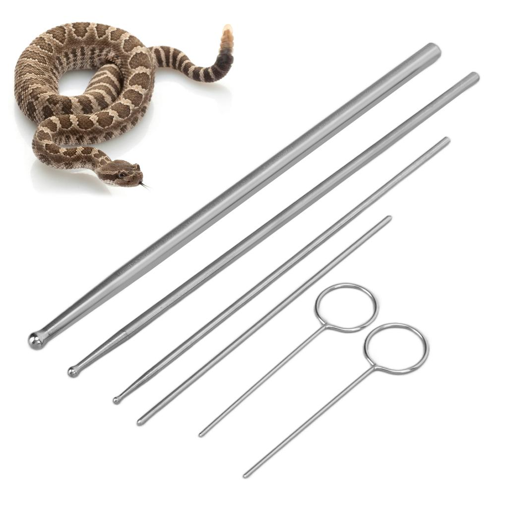 6PCS Snake Probe Kit Stainless Steel Round Head Anti Allergy Reptiles Snake Sexing Probe