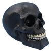 [R1467] - Black 'Skull' Resin Figurine (leather) - 15. 6x11. 8x10. 8cm