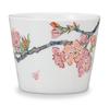 Kutani Ware Iwataya Soba Choko (sake Cup) with Mountain Cherry Blossom Design AP7-5116