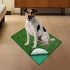 Artificial Grass Mat for Pet Training Indoor Outdoor Use
