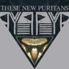 CD THESE NEW PURITANS - Beat Pyramid WIGCD207,WIGCD2 Hostess Enterta 2008 Japan Obi Dance & Electronica Used