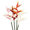 75cm Long Artificial Crane Orchid Fire Crane Heavenly Bird Silicone Fake Flower Wedding Photography Decoration Peacock Simulation Flower