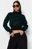Women's Elegance Style Sweater Emerald Green Zebra Patterned Crop Knitwear Sweater
