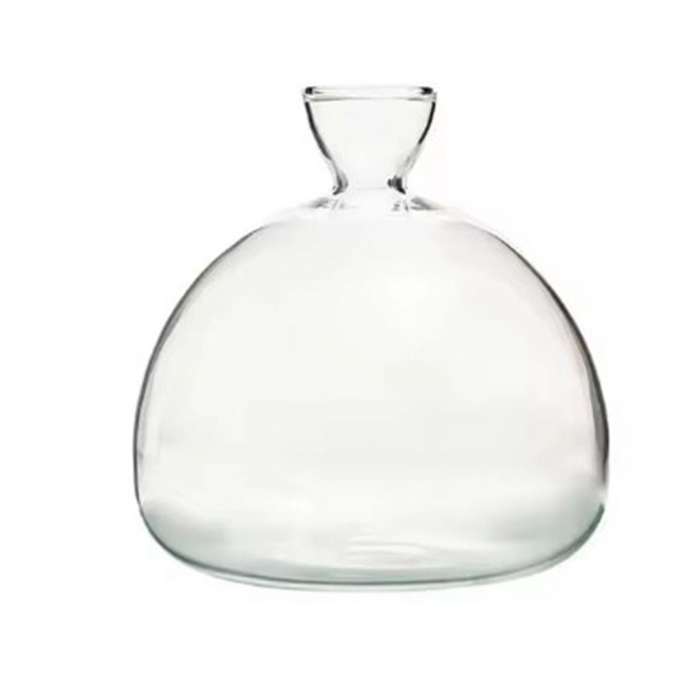 High-grade Japanese Hydroponic Vase Heat Resistant Special Vase Pot  Holidays Gift