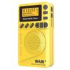 Mini Pocket DAB Digital Radio FM Receiver RDS with LED Display Portable MP3 Player Support TF Card Sleep Time Set