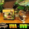 Pet Uva Uvb Reptile Tortoise Heating Lamp Full Sunlamps Basking Pet 25W/50W/75W