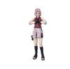 TAMASHII NATIONS NARUTO Shippuden Sakura Haruno Competitive Spirit Approximately 135mm ABS PVC Painted Movable Figure S.H.Figuarts - - Master's -