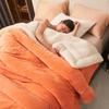 Super Soft Imitation Lambswool Blanket Autumn Winter Double Queen Blankets High Quality Comfortable Milk Fleece Sofa Blanket