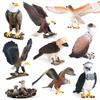 Oenux Wild Bird Animals Forest Night Eagle Condor Figurines PVC Action Figure Garden Decoration Education Miniature Toy Kid Gift