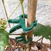 20Pcs/set Plant Fixed Clips Reusable Garden Greenhouse Bracket For Fixed Plants Vine Flower Support Garden Supplies