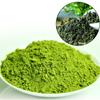 2023 Ti Kuan Yin Matcha Premium Matcha Oolong Tea Powder 100% Natural Tea 100g/300g/500g