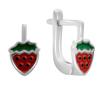 Silver Earrings with Enamel (2172857)