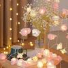 520 Valentine's Day Rose String Lights for Indoor & Girl's Room Decoration Atmosphere