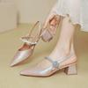 Baotou Sandals Women's New Mary Jane Shoes Thick Heel Silver Word with Pointed High Heels