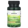 Bacillus Coagulance, 6 Billion CFU, 60 Veggie Capsules