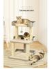 Cat Climbing Frame & Tree, Bed, Small Climber, Toys, Sisal Scratch Board, Supplies